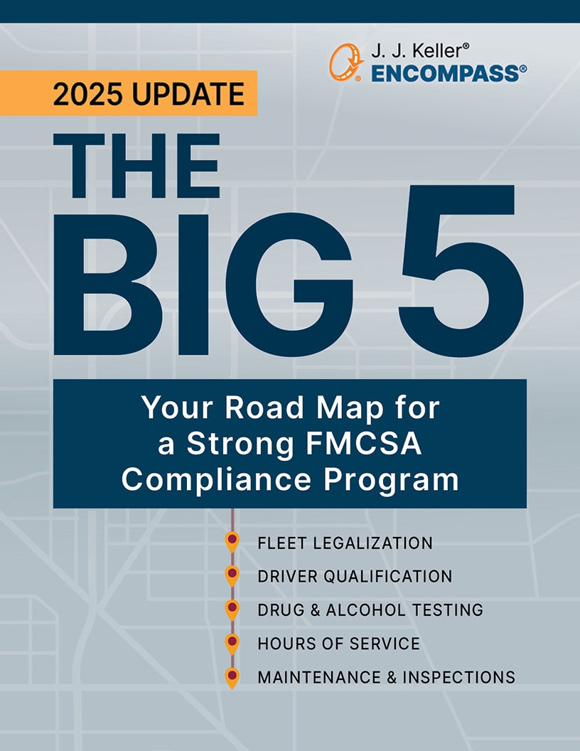61814 The Big 5 2025 cover image