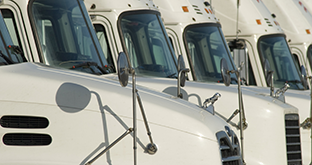 White semi trucks lined up