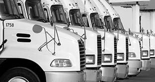 Black and white trucks