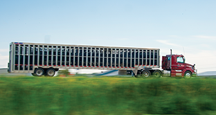 FMCSA denied extended trucking hours for agriculture - Texas Farm Bureau